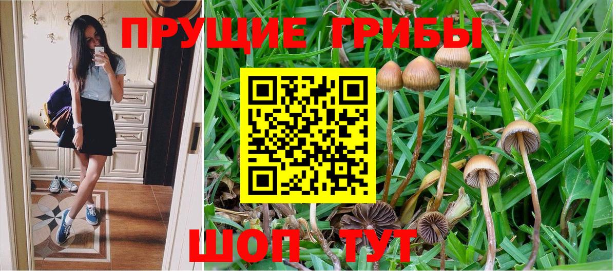 Вольск  Галлюциногенные грибы мухоморы  Псилоцибиновые грибы Magic Shrooms  Вход с VPN 